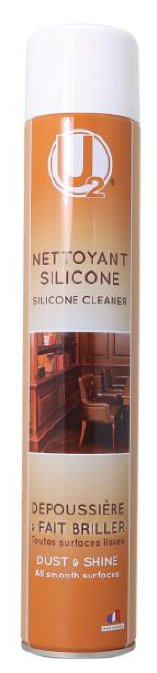 Polish nettoyant dépoussiérant silicone aérosol